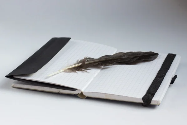 Concept de poésie avec plume et cahier — Photo