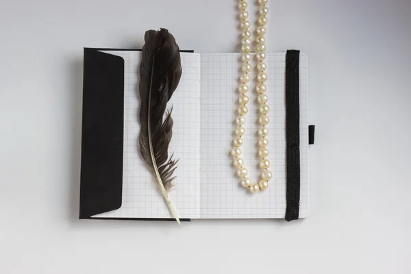 Şiir kavramı ile tüy ve defter