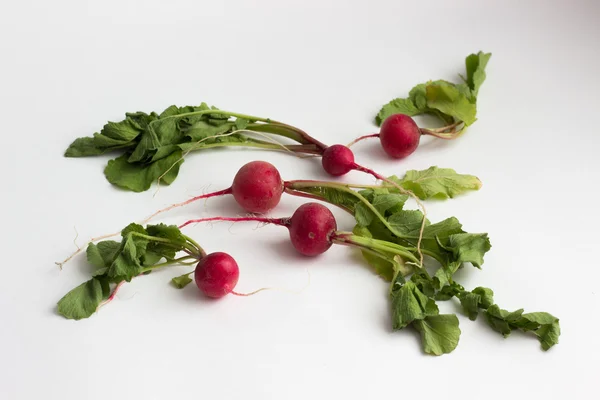 Isotaed świeże rzodkiewki czerwone z zielenią — Zdjęcie stockowe