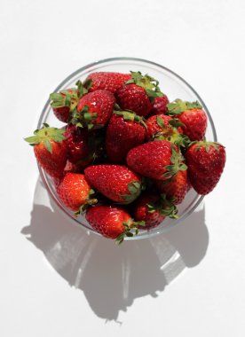 Çilek cam plaka üzerinde