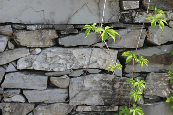 Textura de pared de piedra cruda — Foto de Stock