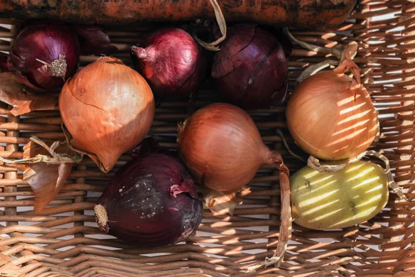 Onion in a basket — Stock Photo, Image