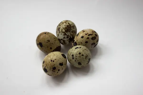 Five quail eggs — Stock Photo, Image