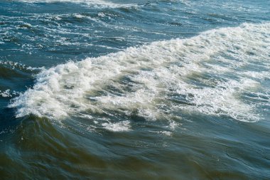 Koobrzeg 'deki dalgalı deniz falenası.