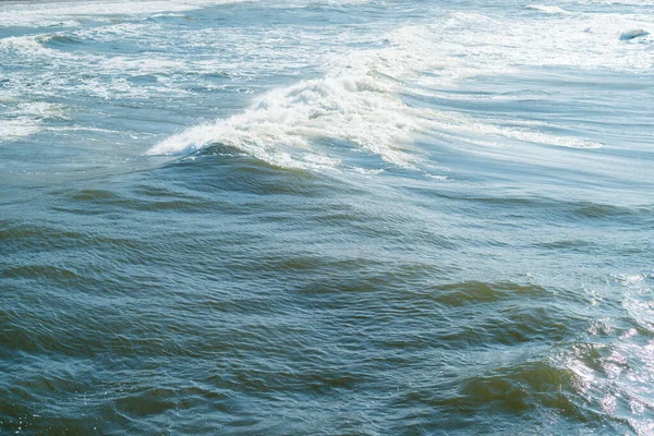 Koobrzeg Deki Dalgalı Deniz Falenası Stok Resim