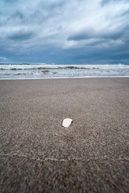 Polonya 'da Baltık Denizi kıyısında bir sahil
