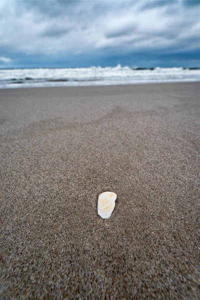 Beach Baltic Sea Poland — Stock Photo, Image