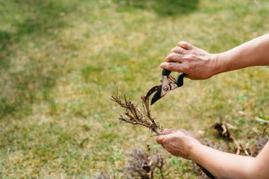 Ev bahçesine bahar geldi.