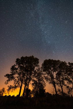 Samanyolu ile yıldızlı gece gökyüzü