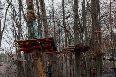Gdask Hayvanat Bahçesi 'nde çeşitli hayvanlar