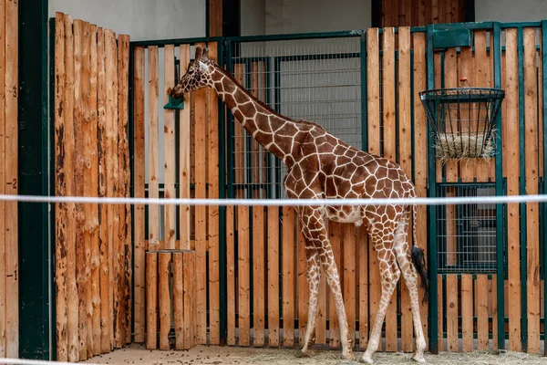 various animals at the Gdask Zoo