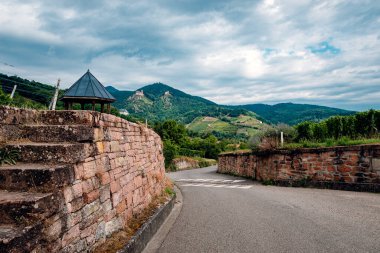 Üzüm bayırları Üzüm bağı, Alsace, Fransa