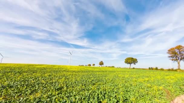 Timelapse Con Vistas Parque Eólico — Vídeos de Stock