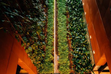 Gdask 'ta modern bir kamu binası. Dayanışma Merkezi