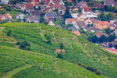 Ribeauvill Köyünün Panoramik Görünümü