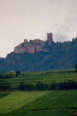 Tepedeki Kale ile Üzüm Bahçesi