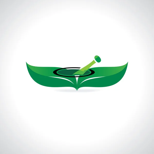 Ayurveda kavramı