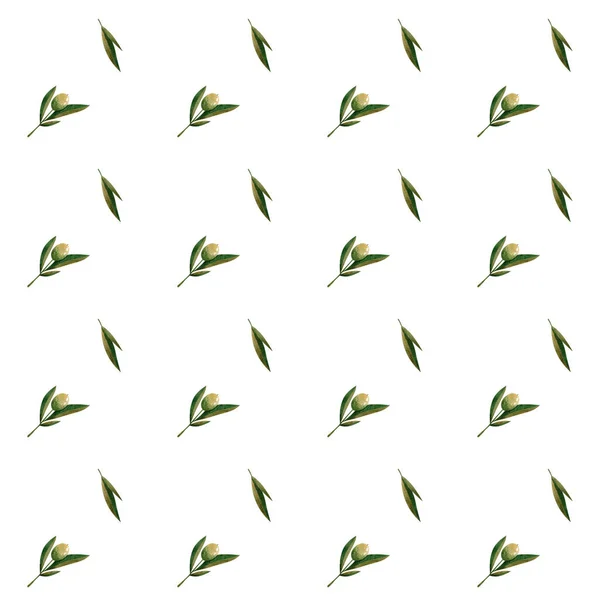 Olive botanical seamless pattern with leaves olives flowers floral plants