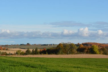 Tarımsal alanların kırsal kesiminin manzarası