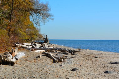 Ontario Gölü kıyısında.