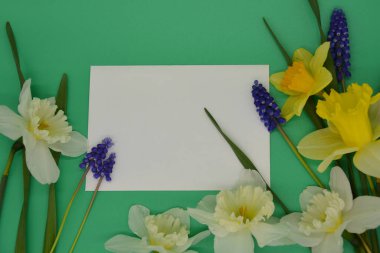 Bahar çiçeklerinin renkli arkaplanı 