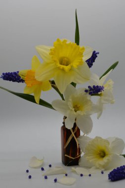 Vazoda renkli bahar çiçekleri 