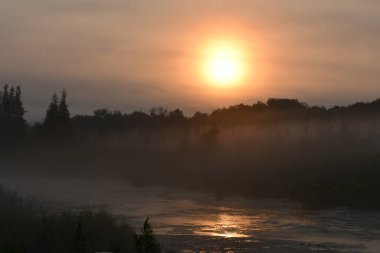 Güneşin doğuşu sisli bir sabahta nehirde ve sulak alanlarda 
