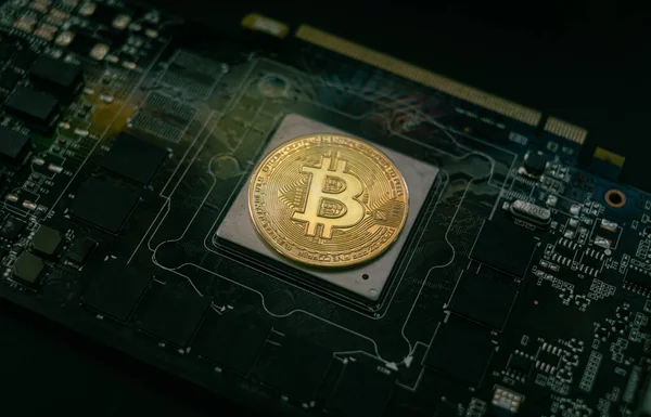 Bitcoin sembollü altın paralarla kripto para kavramı