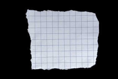 Ripped grid paper torn edges