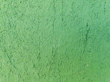 Yeşil boyanmış duvar dokusu kaba yüzey arkaplanı