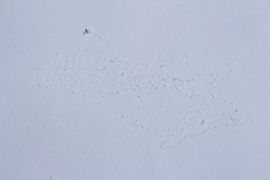 Beyaz yırtık kağıt poster dokusu, aşınmış kağıt tasarım elementi