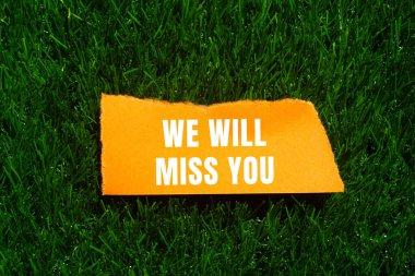 We will miss you message written on ripped torn paper background. Conceptual We will miss you symbol. Copy space.