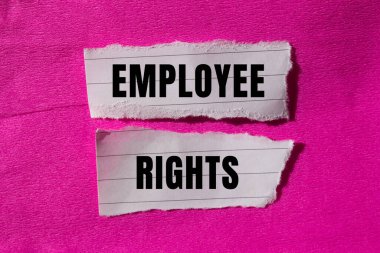 Yırtılan kağıt arkaplanda çalışan hakları mesajı var. Kavramsal Çalışan Hakları sembolü. Boşluğu kopyala.