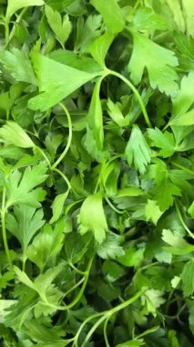 Pazarda maydanoz var.