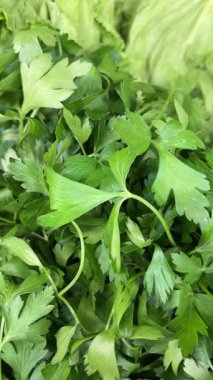 Pazarda maydanoz var.