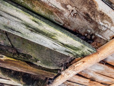 Örümcek ağlı eski ahşap çatı kirişleri, kırsal iç doku arka planı