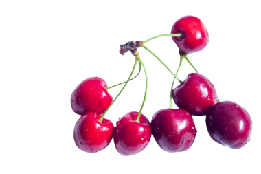 Taze Kırmızı Kiraz Grubu Şeffaf Arkaplan Sulu Yaz Meyvesi İzole Edildi