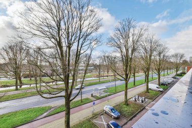 Otopark ve yolun yanındaki yapraksız ağaçlar.