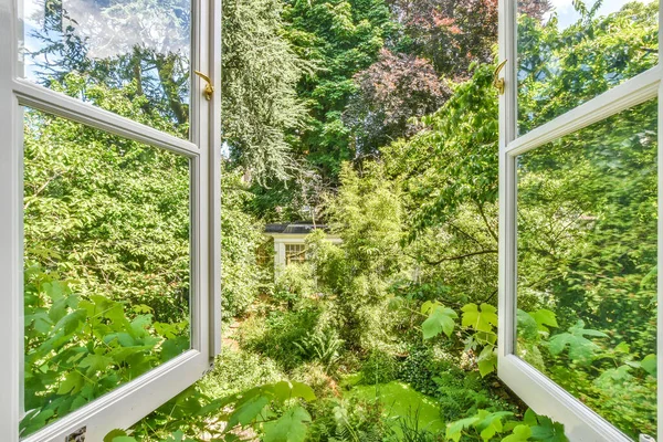 Geöffnetes Fenster mit Blick auf üppiges Grün — Stockfoto