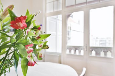 Parlak oturma odası