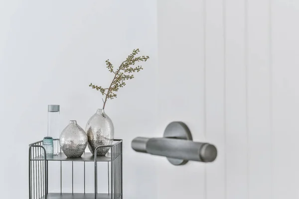 Porta branca simples com punho metálico e planta home no vaso — Fotografia de Stock