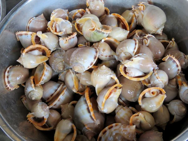 Saigón, Vietnam - 30 de marzo de 2016: Las conchas marinas están a la venta en la carretera por los vendedores ambulantes en Vietnam — Foto de Stock