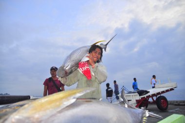 General Santos, Filipinler - 5 Eylül 2015: Yataklı vagon görevlilerine ton balığı deniz ürünleri fabrika General Santos City için kamyonla yüklüyorsunuz