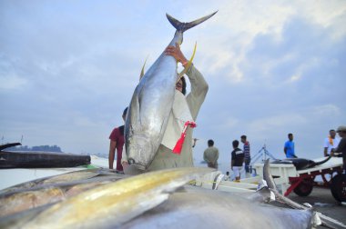 General Santos, Filipinler - 5 Eylül 2015: Yataklı vagon görevlilerine ton balığı deniz ürünleri fabrika General Santos City için kamyonla yüklüyorsunuz