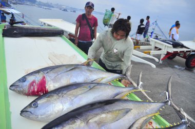 General Santos, Filipinler - 5 Eylül 2015: Yataklı vagon görevlilerine ton balığı deniz ürünleri fabrika General Santos City için kamyonla yüklüyorsunuz