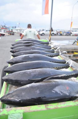 General Santos, Filipinler - 5 Eylül 2015: Yataklı vagon görevlilerine ton balığı deniz ürünleri fabrika General Santos City için kamyonla yüklüyorsunuz