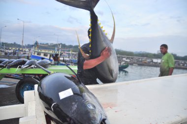 General Santos, Filipinler - 5 Eylül 2015: Tuna kamyonla seaport adlı indi