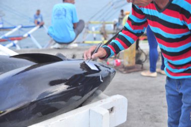 General Santos, Filipinler - 5 Eylül 2015: Tuna onları yakaladı balıkçı adı ile işaretlenir