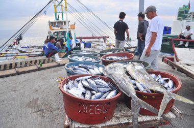 General Santos, Filipinler - 5 Eylül 2015: Balıkçı açılış ton balığı balıkçı teknesi seaport adlı üzerinden