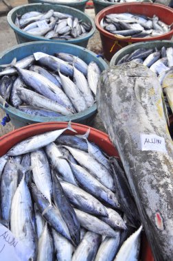 General Santos, Filipinler - 5 Eylül 2015: Balıklar seaport indi